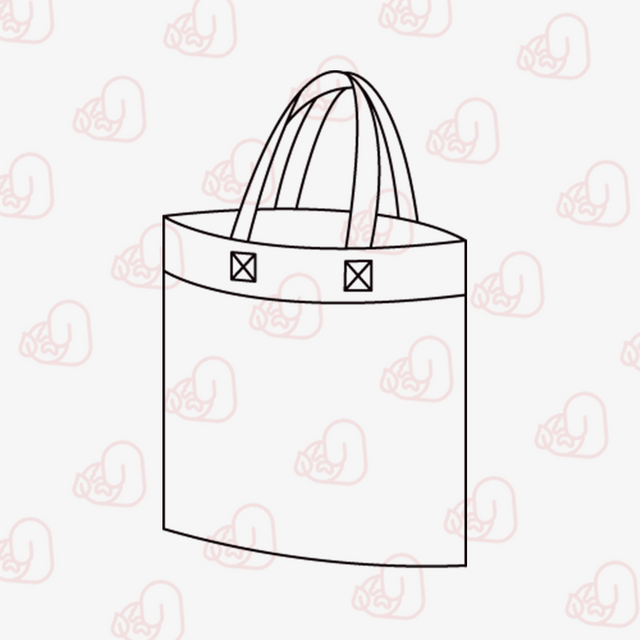 Paper Handle Bags
